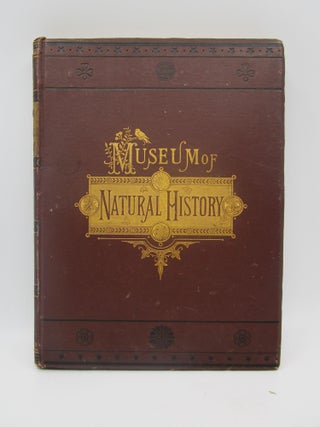 Item #010525 The Museum of Natural History (Volume III) being a popular account of the structure,...