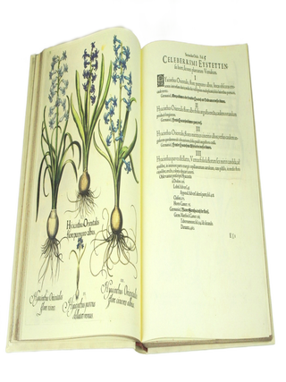 Hortus Eystettensis (Limited Edition)