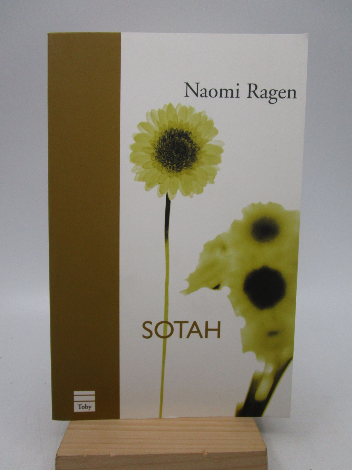 Sotah Readers Guide Editions | Naomi Ragen