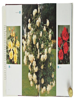 The World's Favorite Roses And How To Grow Them